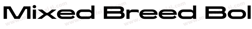 Mixed Breed Bold字体转换